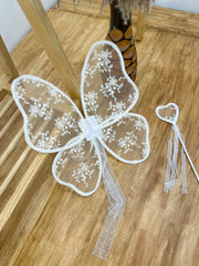 Dreamy Fairy Wings Set