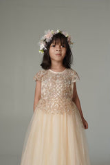 Champagne Gleam dress