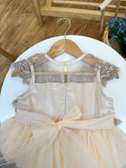 Champagne Gleam dress