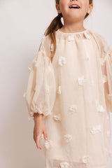 Eliza sheer dress