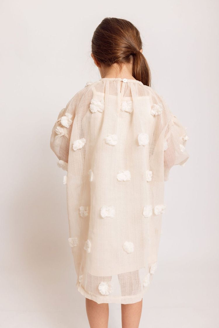Eliza sheer dress