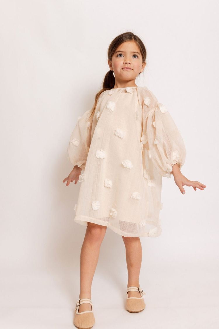 Eliza sheer dress