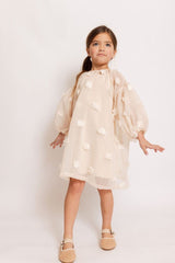 Eliza sheer dress