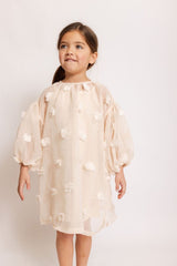 Eliza sheer dress